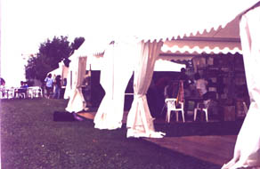 Stands.jpg (16423 bytes)